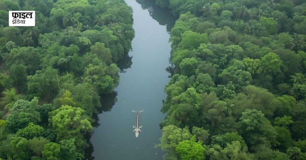 सुंदरबन डेल्टा